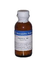 Phytolacca Homeopathic Medicine