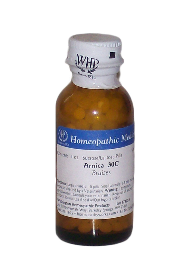 Homeopathy | Arnica Homeopathic Medicine | Arnica Homeopathic Medicine