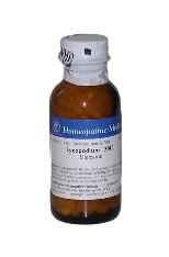 Lycopodium Homeopathic Medicine